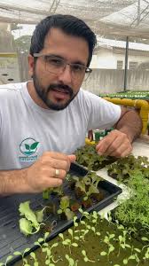 Bruno Palma Hidroponia (@brunopalmahidroponia) • Instagram photos and videos