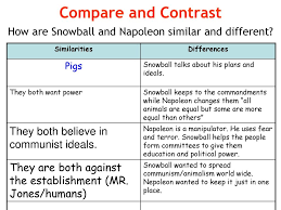 Animal Farm A Compare And Contrast Term Paper Example