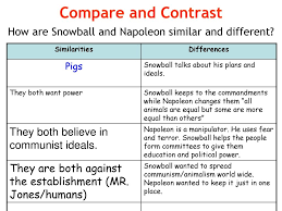 animal farm a compare and contrast term paper example