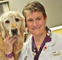 Robin Downing, DVM, MS (Bioethics), DAAPM, DACVSMR, CVPP, CCRP