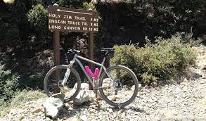 Product Review Ergon Sm3 Pro Active Lifestyle Reviews