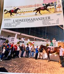 Profile for Timothy Salzman Racing Stables