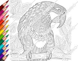 Flying macaw coloring page from macaw category. Coloring Pages For Adults Macaw Parrot Adult Coloring Pages Etsy