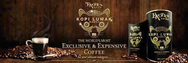 Exotica Kopi Luwak