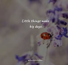 35 Ladybug Quotes Sayings Phrases To Inspire You