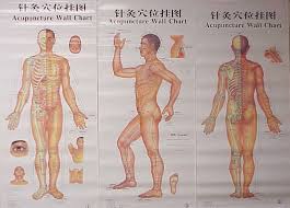 Acupuncture Body Chart 3pcs