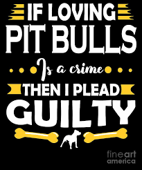 Explore 216 bull quotes by authors including w. Pit Bull Lover Pleading Guilty Quote Digital Art By Dusan Vrdelja