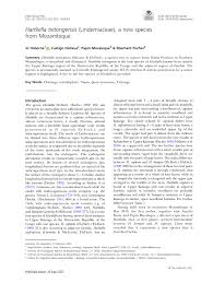 Image result for Aeschynomene pawekiae