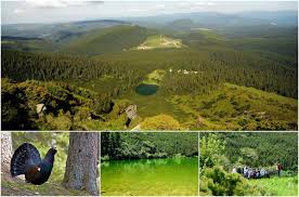 Munții șureanu (sebeș) au înălțimi relativ medii și mici și ocupă o suprafață destul de întinsă, 1585 km². Hnp5p4xao9hytm