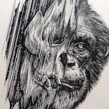 Useful drawing references and sketches for beginner artists. Animals Leave Their Skeletons Behind In Stunning Dark Drawings By Paul Jackson Bored Panda