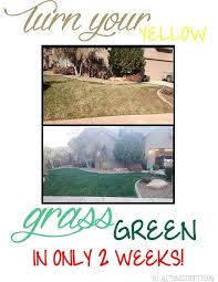 Etour.com has been visited by 100k+ users in the past month How To Get A Green Spring Lawn Fast All Things Thrifty