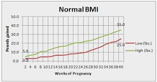 pregnancy weight gain chart based on 128lbs experienced