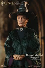 She is also deputy headmistress of hogwarts and head of gryffindor when dolores umbridge became teacher of dada and high inquisitor during harry potter's fifth year, minerva opposed her on different occasions. Actionfilmfigurenaction Figures Harry Potter