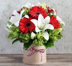 Best christmas flowers to send. The Best Christmas Flowers In Sydney To Send To Your Loved Ones Florist With Flowers