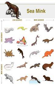 Extinct Animals With Names And Pictures