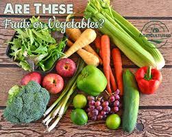 What S The Difference Between Fruits And Vegetables My Fearless Kitchen