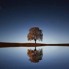 Music by paul landry and guest musicians including elenniyah. Stream Free Meditation Background Music For Youtube Free Download Music For Videos Vlog Youtube By Background Music For Youtube Videos Listen Online For Free On Soundcloud