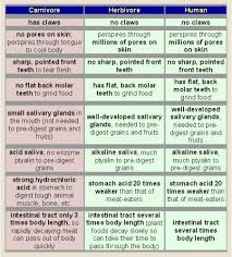 Humans Are Herbivores A Handy Chart Recipes For Compassion