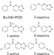 Animal cell coloring sheet answer key labeled wright. A Small Molecule Ubiquitination Inhibitor Blocks Nf Kb Dependent Cytokine Expression In Cells And Rats Journal Of Biological Chemistry