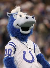 The official mascot for the indianapolis colts. The Colts Blue Welcomes Andrew Luck To Indy Indianapolis Colts Football Indianapolis Colts Logo Colts Football