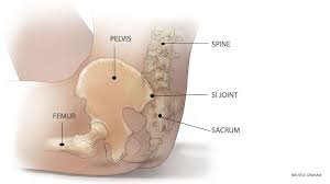 Pin On Anatomy For Yoga