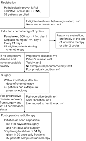 Wristbands to show your support. Trimodality Therapy For Malignant Pleural Mesothelioma Results From An Eortc Phase Ii Multicentre Trial European Respiratory Society