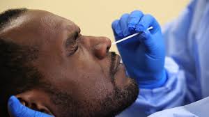 How Coronavirus Testing Actually Works Step By Step At A Private Lab Business Insider