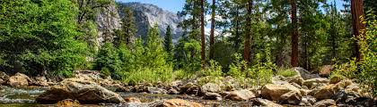 There's free parking if you drive. Visit Kings Canyon National Park Near Visalia California