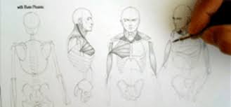 New users enjoy 60% off. Complete Figure Drawing Course Hd 125 The Muscles Of The Torso Part 6 Steamspy All The Data And Stats About Steam Games