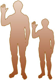 La taille moyenne des hommes adultes hispaniques est de 1m70. Taille Anthropometrie Wikipedia
