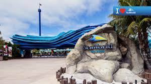 San diego background for zoom. Best Zoom Backgrounds For Your Work From Home M