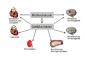 Https Medfak Uni Koeln De Sites Medfakdekanat Downloads Blutdruckmessung 2016 Pdf