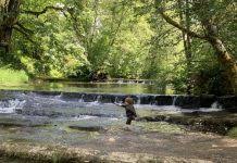 Centralia Square Antiques Grand Opening Ribbon -Cutting