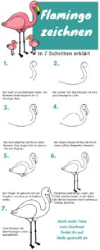 Flamingo Zeichnen Lernen Eine Anleitung In 7 Schritten