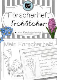 Forscherheft Fruhbluher Handgezeichnet Unterrichtsmaterial In Den Fachern Fachubergreifendes Sachunterricht In 2020 Fruhbluher Grundschule Kunstunterricht Forscher