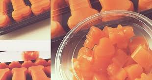Pin By Cookiedog Factory On Nourriture Saine Chiens Chats Food Fruit Cantaloupe
