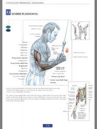 Rowing and your muscles rowing is a coordinated muscle action that involves every large muscle group in the body. 22 Workout Arms Ideas Workout Workout Chart Arm Workout