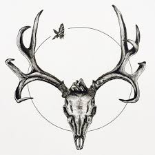 Deer antlers drawing isolated on white background. Tattoo Realistic Deer Skull Drawing Novocom Top