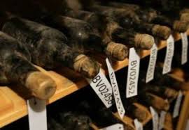 images?q=tbn:ANd9GcSr-q3IHHeaU6p0jbjW5yn