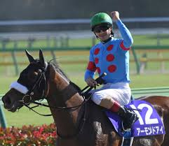 ãƒ´ã‚£ã‚¯ãƒˆãƒªã‚¢ãƒžã‚¤ãƒ« G1 ã¾ã¨ã‚ 2021å¹´5æœˆ16æ—¥ã«æ±äº¬ç«¶é¦¬å ´ã§é–‹å‚¬ Netkeiba Com ç«¶é¦¬äºˆæƒ³ çµæžœ é€Ÿå ± æ³¨ç›®é¦¬ã®ç«¶é¦¬æœ€æ–°æƒ…å ±