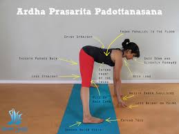 Prasarita Padottanasana Living Yoga Aham Yoga Blog