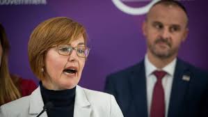 Why Meegan Fitzharris Quit Her Dream Job The Canberra Times Canberra Act