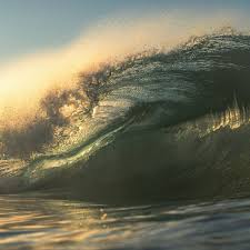 Light and dark. #newportbeach