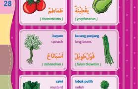 2,473 likes · 4 talking about this. Kamus Bergambar Anak Muslim Nama Nama Sayuran Bahasa Indonesia Inggris Arab 2 Ebook Anak