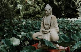✓ dekorativ ✓ jetzt bestellen & sparen! So Legen Sie Einen Buddha Garten An Der Haus Garten Profi