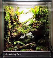 Image Result For Paludarium Overhang Gecko Vivarium Reptile Terrarium Frog Terrarium