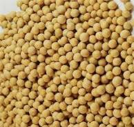 Soybean Color Sorting Solution – Color Sorter Manufacturer ...