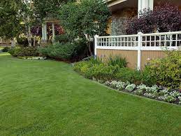 Annual Lawn Care Service Programs Lawn Doctor