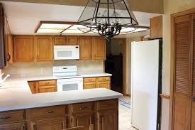 the great kitchen remodel: in the