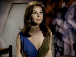 Image result for hot trekkie